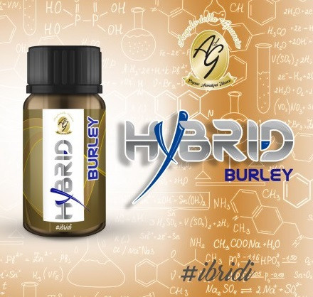 ADG - HYBRID - BURLEY - AROMA CONCENTRATO 10 ML 