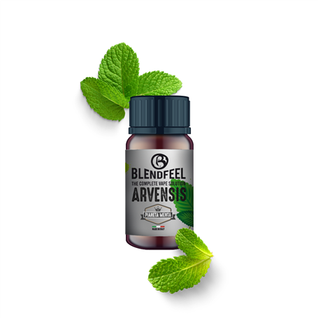 BLENDFEEL - PIANETA MENTA ARVENSIS AROMA CONCENTRATO 10ML