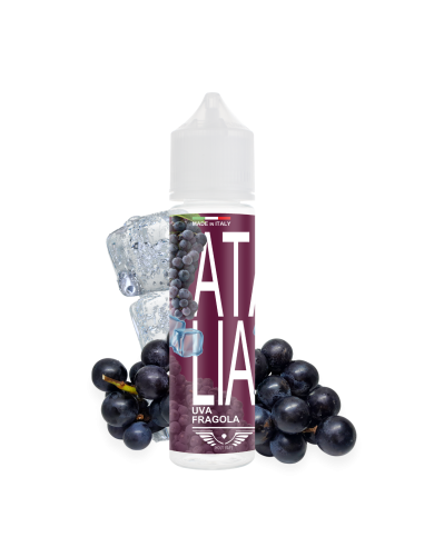 HOLY VAPE - ATALIA - SHOT SERIES 20ML