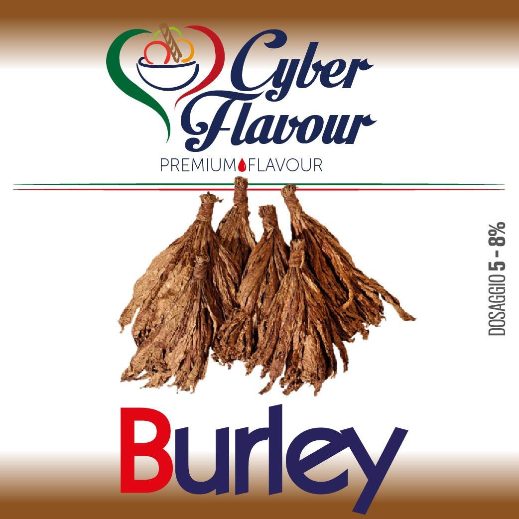 BURLEY - CYBERFLAVOUR 10 ML