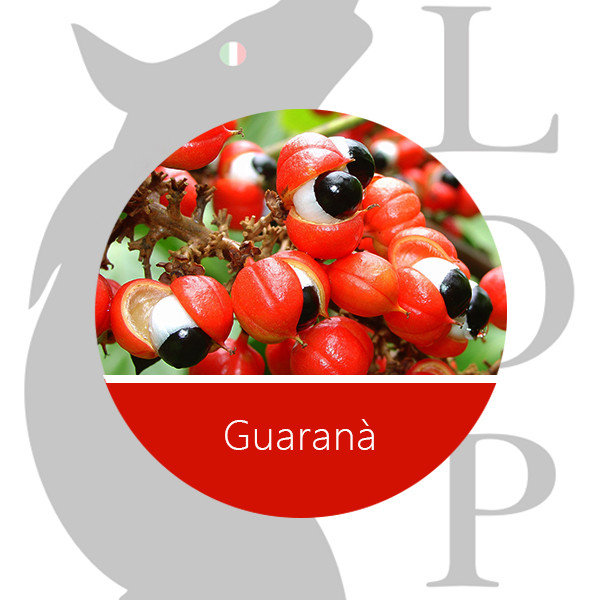 LOP - AROMA GUARANA' 10 ML