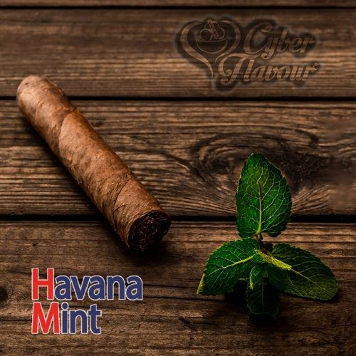 CYBER FLAVOUR - HAVANA MINT - AROMA CONCENTRATO 10ML 