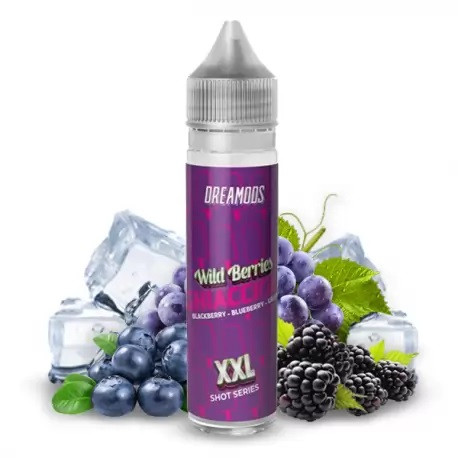 DREAMODS - GHIACCIOLI WILD BERRIES XXL - AROMA SHOT SERIES 20ML